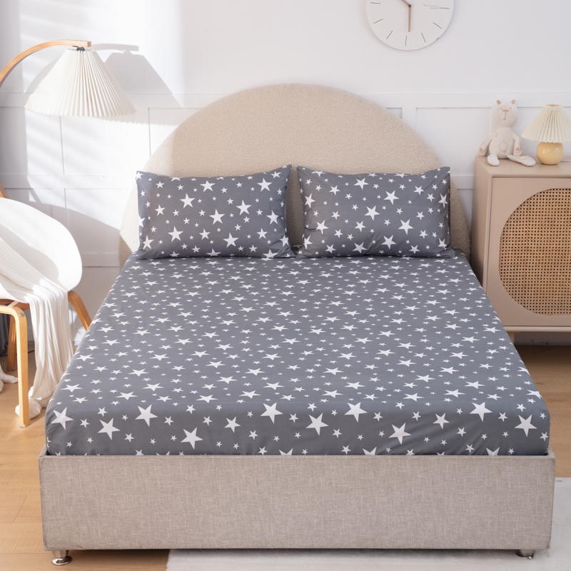 Einfacher, gebürsteter, wasser – Waterproof Mattress Protector Breathable Bewertung und Preis